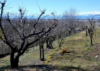 Independent house Bra - photo 19