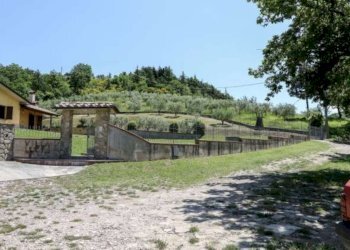 Villa Passerina, Città di Castello - foto 3