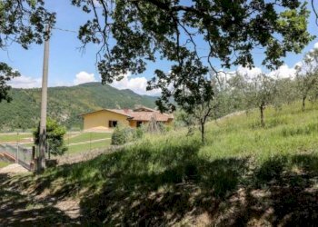 Villa Passerina, Città di Castello - foto 5