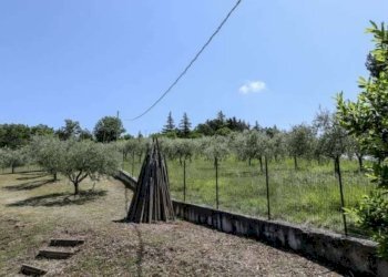 Villa Passerina, Città di Castello - foto 7