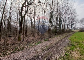 Terreno edificabile via Giovanni XXXIII 
 Benna, BI, Benna - foto 7