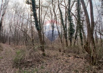 Terreno edificabile via Giovanni XXXIII 
 Benna, BI, Benna - foto 11