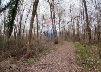 Terreno edificabile via Giovanni XXXIII 
 Benna, BI, Benna - foto 12