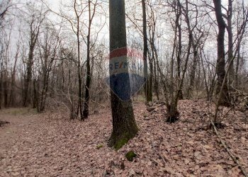 Terreno edificabile via Giovanni XXXIII 
 Benna, BI, Benna - foto 13