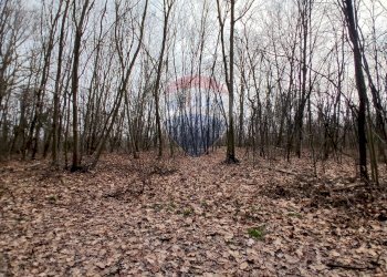 Terreno edificabile via Giovanni XXXIII 
 Benna, BI, Benna - foto 14