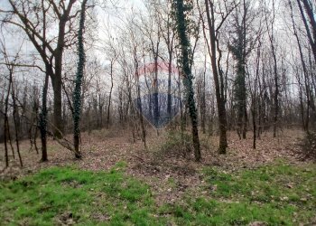 Terreno edificabile via Giovanni XXXIII 
 Benna, BI, Benna - foto 15