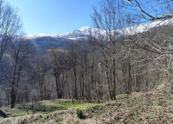 Rustic Via San Firmino, 7, Oncino - photo 4