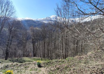 Rustic Via San Firmino, 7, Oncino - photo 11