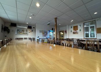 Attività Commerciale Via Varallino, Galliate - foto 17