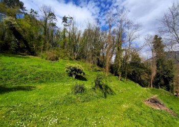 Villa Unifamiliare via dei lemmetti, Camaiore - foto 11