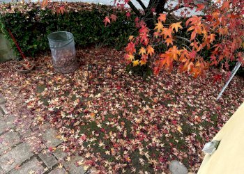 Villa VIA PETRARCA, Casier - photo 15