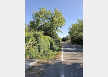 Casa semi indipendente Costigliole d'Asti - foto 33