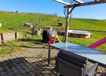Azienda agricola Ziano Piacentino - foto 7