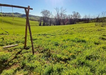 Azienda agricola Ziano Piacentino - foto 9