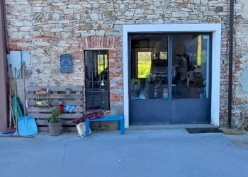 Azienda agricola Ziano Piacentino - foto 12
