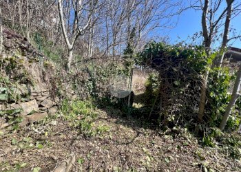 Four-room apartment Strada Fornelli Chiaves, Monastero di Lanzo - photo 35
