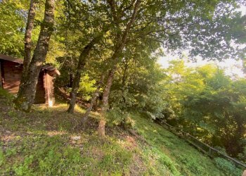 Terreno - Villa via Pallavicino, Cantalupo Ligure - foto 44
