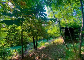 Terreno - Villa via Pallavicino, Cantalupo Ligure - foto 46