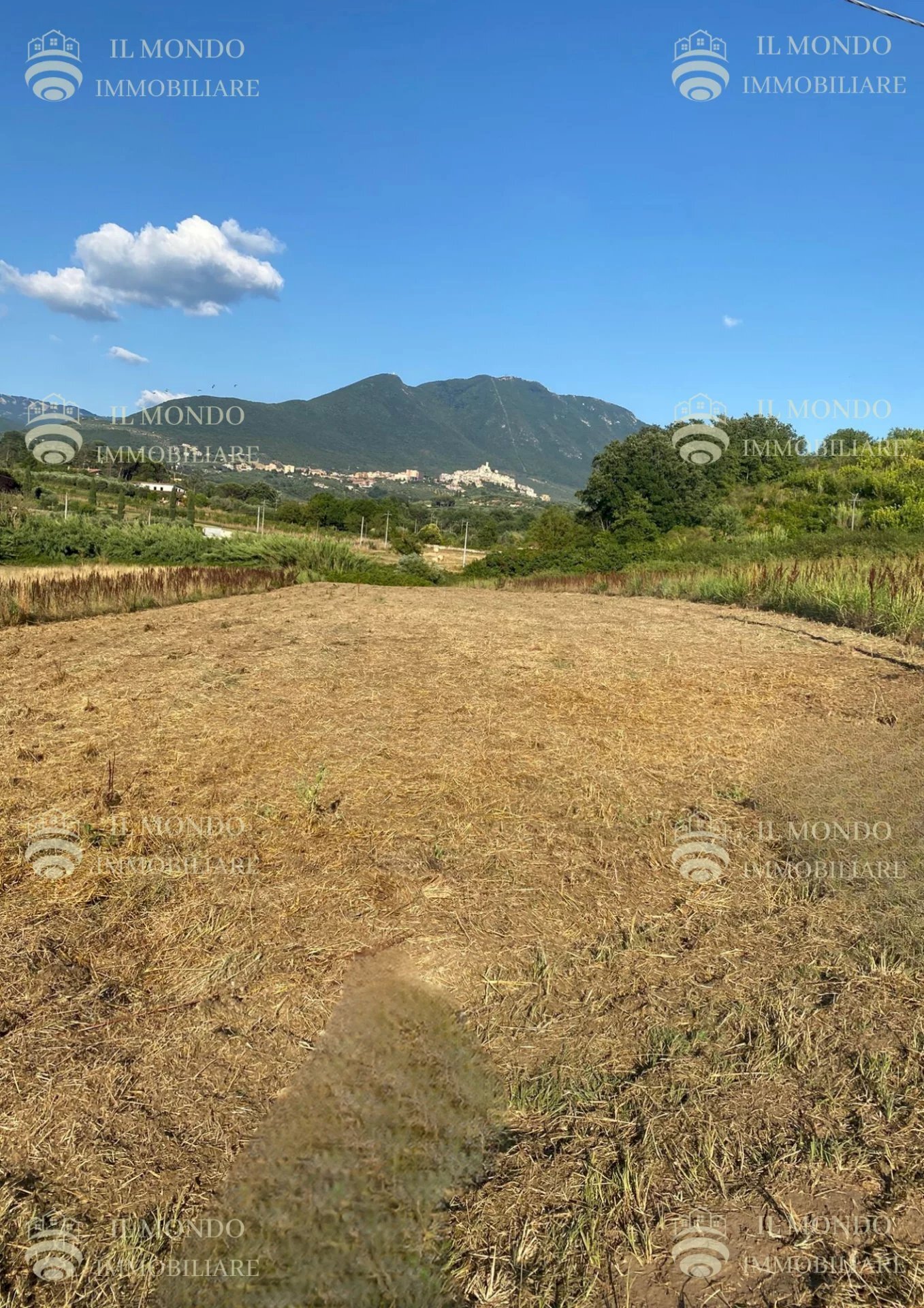 Terreno agricolo Strada di Colle Pedeschiavo, Palombara Sabina - foto 3
