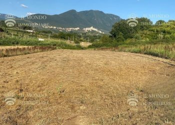Terreno agricolo Strada di Colle Pedeschiavo, Palombara Sabina - foto 3