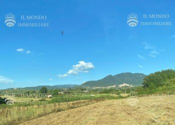 Terreno agricolo Strada di Colle Pedeschiavo, Palombara Sabina - foto 5