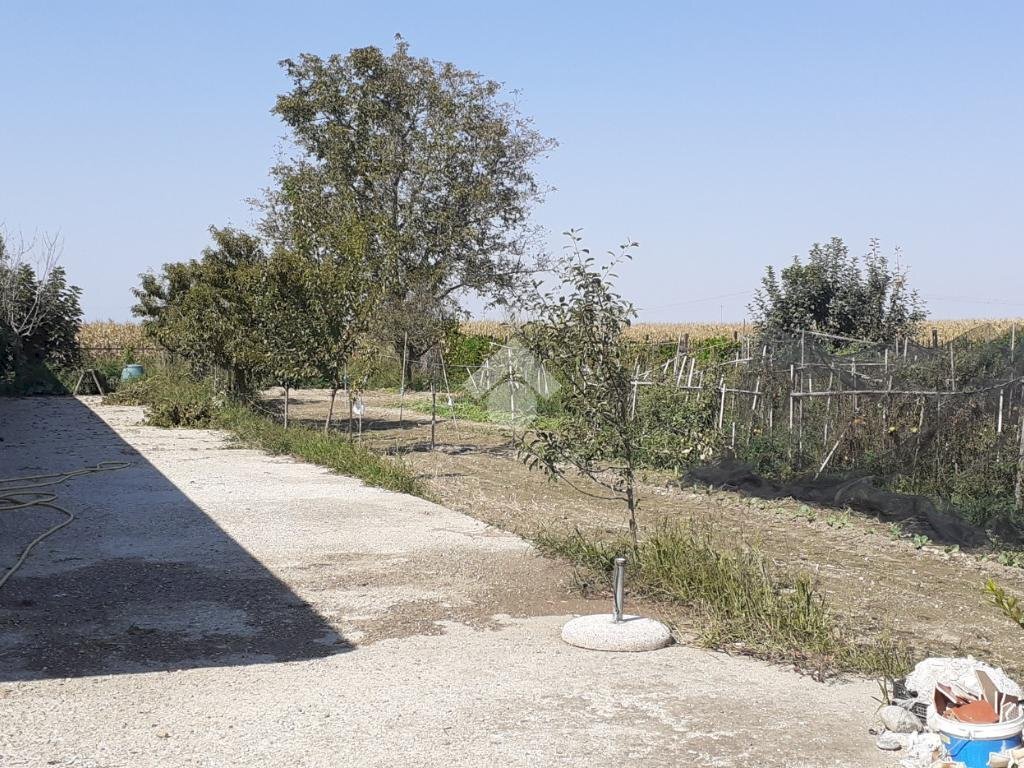 Rustic Via Quintanello, Vigone - photo 3