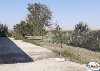 Rustic Via Quintanello, Vigone - photo 3
