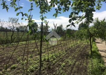 Rustic Via Quintanello, Vigone - photo 12