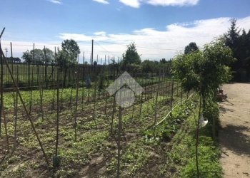 Rustic Via Quintanello, Vigone - photo 15