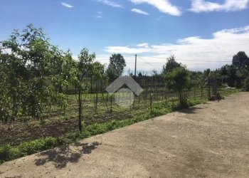 Rustic Via Quintanello, Vigone - photo 21