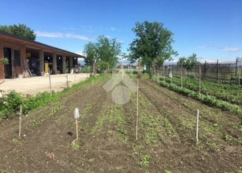 Rustic Via Quintanello, Vigone - photo 16