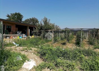 Rustic Via Quintanello, Vigone - photo 17