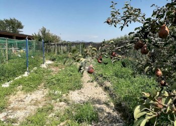 Rustic Via Quintanello, Vigone - photo 18