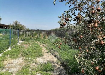 Rustic Via Quintanello, Vigone - photo 20