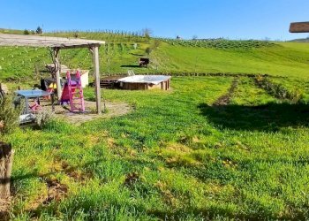 Independent house Pianello Val Tidone - photo 12