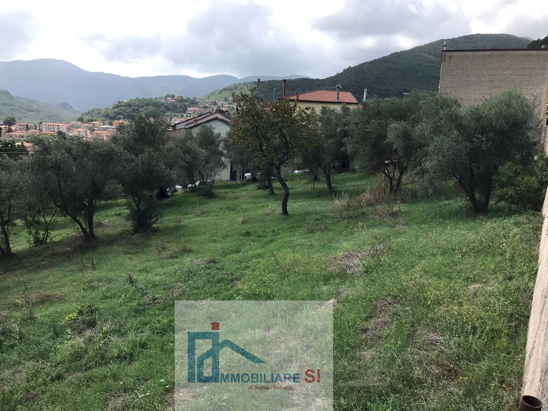 Terreno agricolo Cautano - foto 2