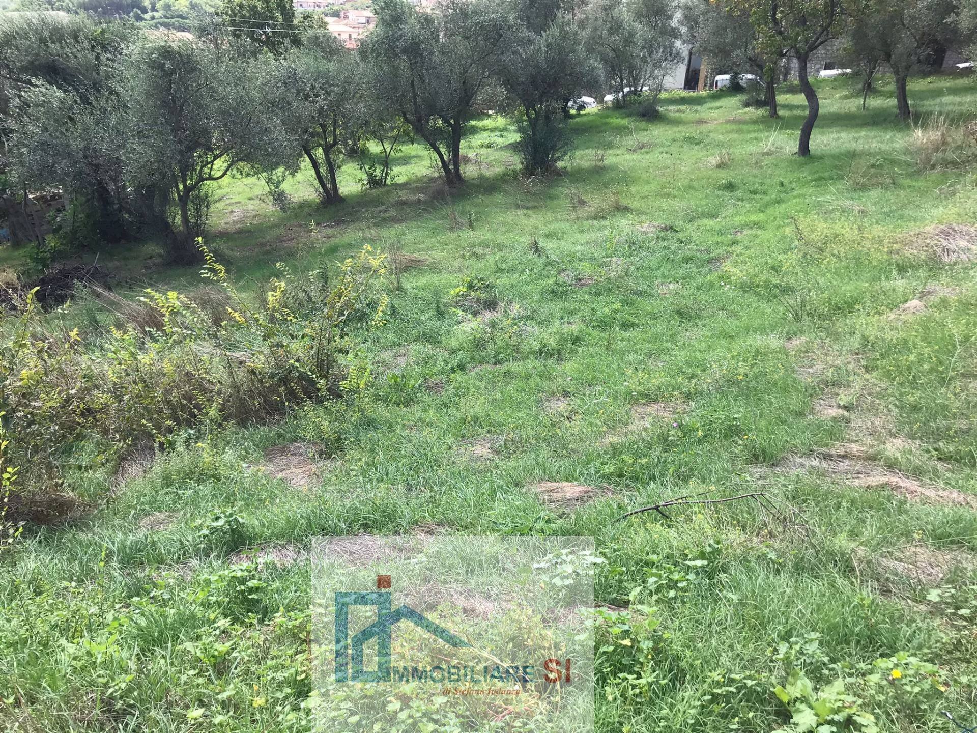 Terreno agricolo Cautano - foto 3