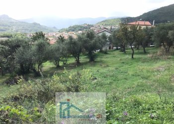 Agricultural land Cautano - photo 1