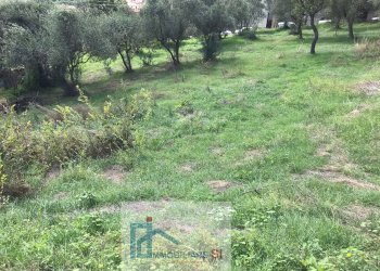 Agricultural land Cautano - photo 3