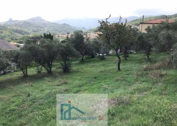 Agricultural land Cautano - photo 6