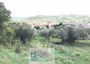 Agricultural land Cautano - photo 8