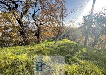 Independent house Via delle Rimembranze Prima Traversa, Cautano - photo 8