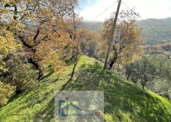 Independent house Via delle Rimembranze Prima Traversa, Cautano - photo 25