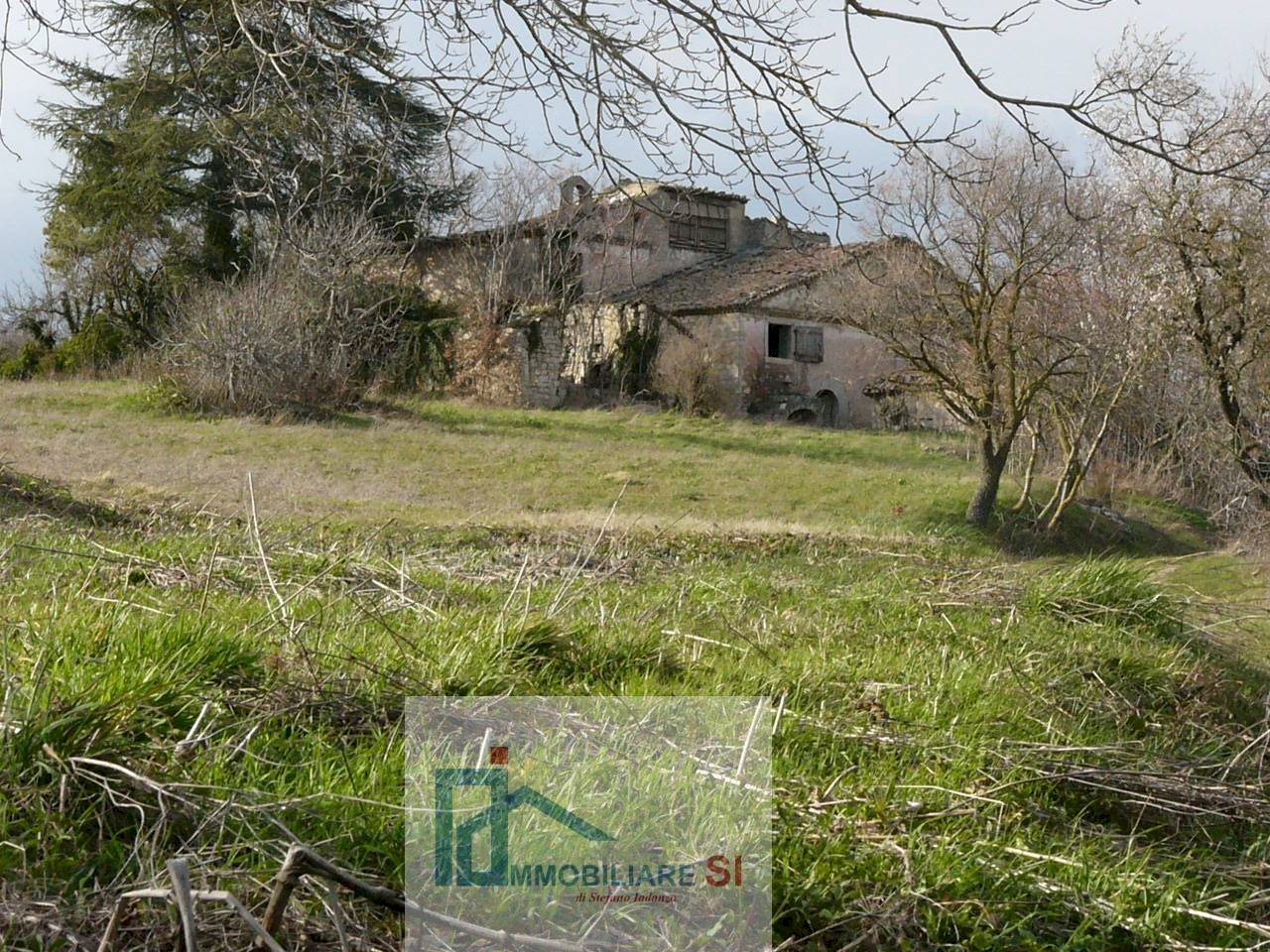 Terreno agricolo Riccia - foto 3