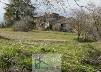 Terreno agricolo Riccia - foto 3