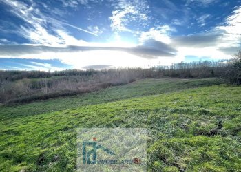 Terreno agricolo Riccia - foto 6