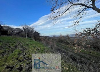 Terreno agricolo Riccia - foto 7