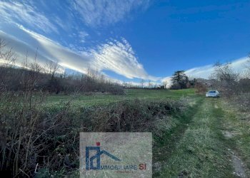 Terreno agricolo Riccia - foto 8