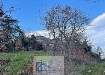 Terreno agricolo Riccia - foto 9