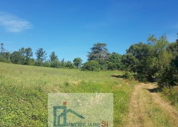 Terreno agricolo Riccia - foto 11